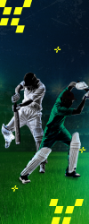 colour trending game link colour trending game link